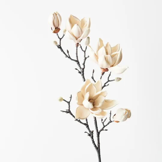 Magnolia Japanese Spray - Cream