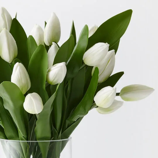 Tulips in Glass Vase Arrangement